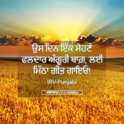 Picture 05 - ਯਸਾਯਾਹ 27:2 PANIRV - ਉਸ ਦਿਨ ਇੱਕ ਸੋਹਣੇ - Bible Verse Picture