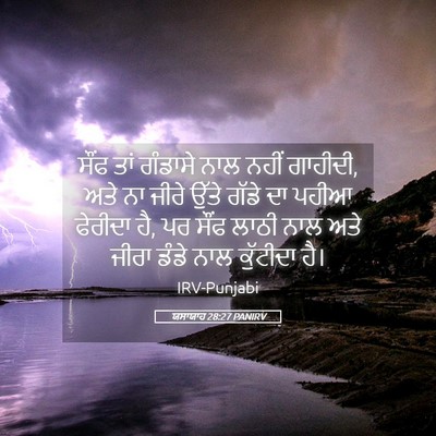 Picture 05 - ਯਸਾਯਾਹ 28:27 PANIRV - ਸੌਂਫ ਤਾਂ ਗੰਡਾਸੇ - Bible Verse Picture