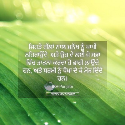 Picture 05 - ਯਸਾਯਾਹ 29:21 PANIRV - ਜਿਹੜੇ ਗੱਲਾਂ ਨਾਲ - Bible Verse Picture