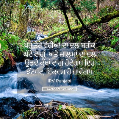 Picture 05 - ਯਸਾਯਾਹ 29:5 PANIRV - ਪਰ ਤੇਰੇ ਵੈਰੀਆਂ ਦਾ - Bible Verse Picture