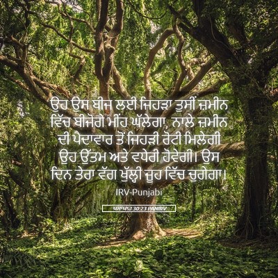 Picture 05 - ਯਸਾਯਾਹ 30:23 PANIRV - ਉਹ ਉਸ ਬੀਜ ਲਈ ਜਿਹੜਾ - Bible Verse Picture