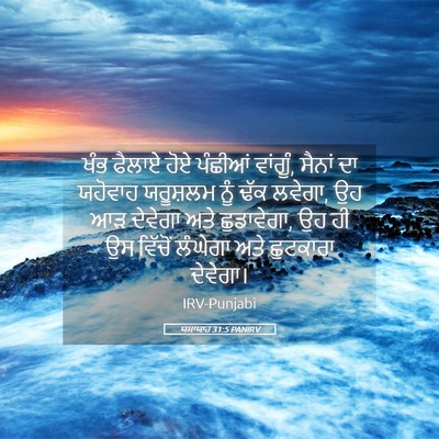 Picture 05 - ਯਸਾਯਾਹ 31:5 PANIRV - ਖੰਭ ਫੈਲਾਏ ਹੋਏ - Bible Verse Picture