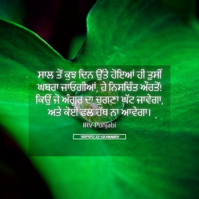 Picture 05 - ਯਸਾਯਾਹ 32:10 PANIRV - ਸਾਲ ਤੋਂ ਕੁਝ ਦਿਨ - Bible Verse Picture