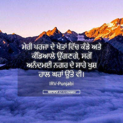 Picture 05 - ਯਸਾਯਾਹ 32:13 PANIRV - ਮੇਰੀ ਪਰਜਾ ਦੇ ਖੇਤਾਂ - Bible Verse Picture