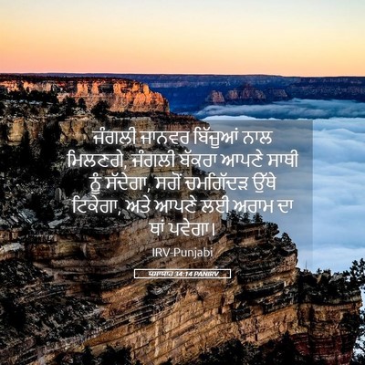 Picture 05 - ਯਸਾਯਾਹ 34:14 PANIRV - ਜੰਗਲੀ ਜਾਨਵਰ - Bible Verse Picture