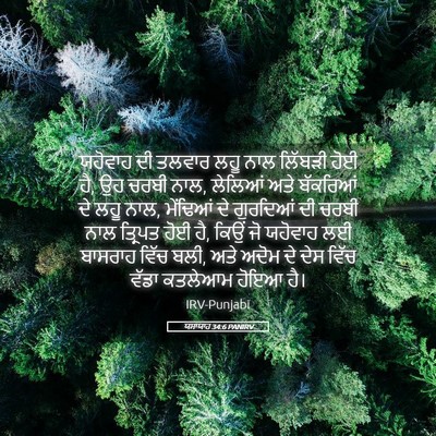Picture 05 - ਯਸਾਯਾਹ 34:6 PANIRV - ਯਹੋਵਾਹ ਦੀ ਤਲਵਾਰ - Bible Verse Picture