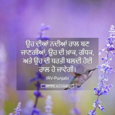 Picture 05 - ਯਸਾਯਾਹ 34:9 PANIRV - ਉਹ ਦੀਆਂ ਨਦੀਆਂ ਰਾਲ - Bible Verse Picture