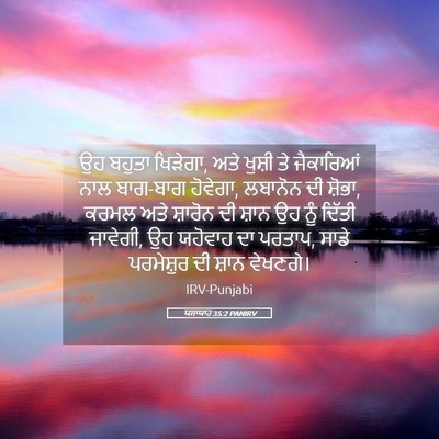 Picture 05 - ਯਸਾਯਾਹ 35:2 PANIRV - ਉਹ ਬਹੁਤਾ ਖਿੜੇਗਾ, - Bible Verse Picture