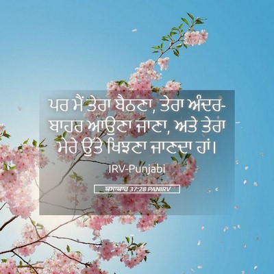 Picture 05 - ਯਸਾਯਾਹ 37:28 PANIRV - ਪਰ ਮੈਂ ਤੇਰਾ ਬੈਠਣਾ, - Bible Verse Picture