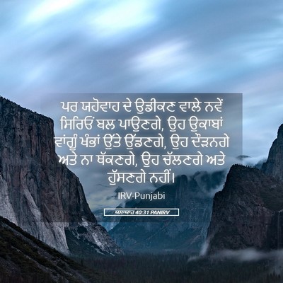 Picture 05 - ਯਸਾਯਾਹ 40:31 PANIRV - ਪਰ ਯਹੋਵਾਹ ਦੇ ਉਡੀਕਣ - Bible Verse Picture