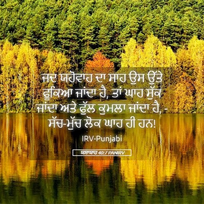 Picture 05 - ਯਸਾਯਾਹ 40:7 PANIRV - ਜਦ ਯਹੋਵਾਹ ਦਾ ਸਾਹ ਉਸ - Bible Verse Picture