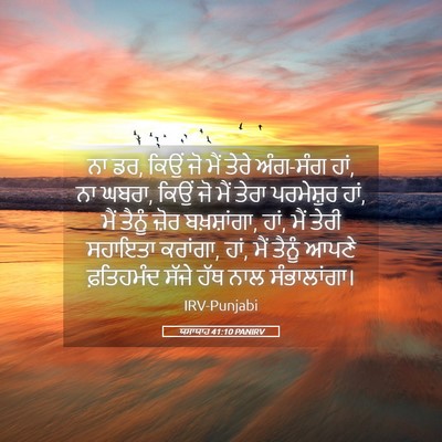 Picture 05 - ਯਸਾਯਾਹ 41:10 PANIRV - ਨਾ ਡਰ, ਕਿਉਂ ਜੋ ਮੈਂ - Bible Verse Picture