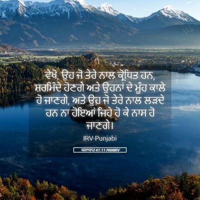 Picture 05 - ਯਸਾਯਾਹ 41:11 PANIRV - ਵੇਖੋ, ਉਹ ਜੋ ਤੇਰੇ - Bible Verse Picture