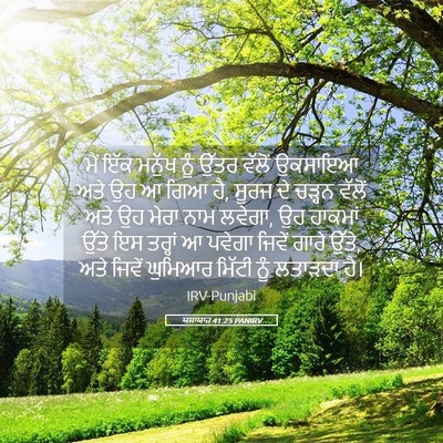 Picture 05 - ਯਸਾਯਾਹ 41:25 PANIRV - ਮੈਂ ਇੱਕ ਮਨੁੱਖ ਨੂੰ - Bible Verse Picture