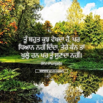 Picture 05 - ਯਸਾਯਾਹ 42:20 PANIRV - ਤੂੰ ਬਹੁਤ ਕੁਝ ਵੇਖਦਾ - Bible Verse Picture