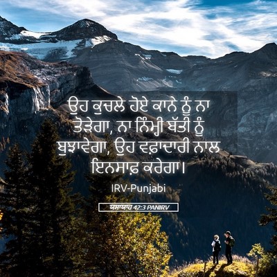 Picture 05 - ਯਸਾਯਾਹ 42:3 PANIRV - ਉਹ ਕੁਚਲੇ ਹੋਏ ਕਾਨੇ - Bible Verse Picture