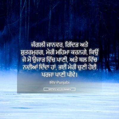 Picture 05 - ਯਸਾਯਾਹ 43:20 PANIRV - ਜੰਗਲੀ ਜਾਨਵਰ, ਗਿੱਦੜ - Bible Verse Picture