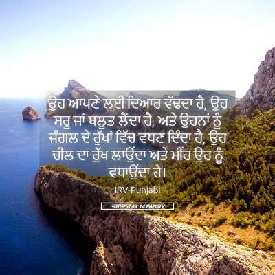 Picture 05 - ਯਸਾਯਾਹ 44:14 PANIRV - ਉਹ ਆਪਣੇ ਲਈ ਦਿਆਰ - Bible Verse Picture