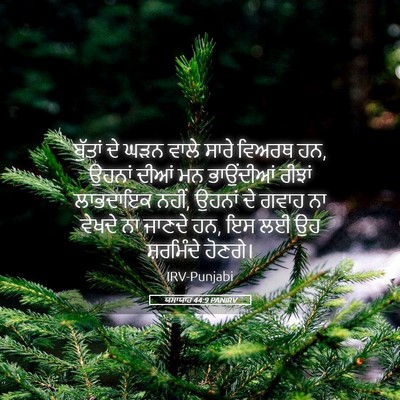 Picture 05 - ਯਸਾਯਾਹ 44:9 PANIRV - ਬੁੱਤਾਂ ਦੇ ਘੜਨ ਵਾਲੇ - Bible Verse Picture