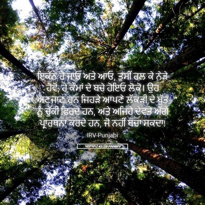 Picture 05 - ਯਸਾਯਾਹ 45:20 PANIRV - ਇਕੱਠੇ ਹੋ ਜਾਓ ਅਤੇ - Bible Verse Picture