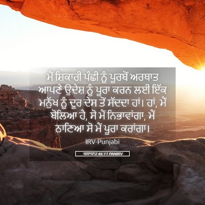 Picture 05 - ਯਸਾਯਾਹ 46:11 PANIRV - ਮੈਂ ਸ਼ਿਕਾਰੀ ਪੰਛੀ - Bible Verse Picture
