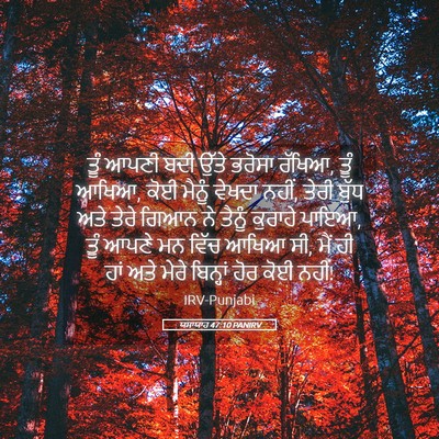 Picture 05 - ਯਸਾਯਾਹ 47:10 PANIRV - ਤੂੰ ਆਪਣੀ ਬਦੀ ਉੱਤੇ - Bible Verse Picture