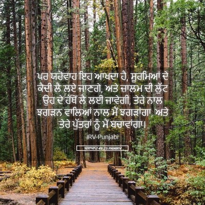 Picture 05 - ਯਸਾਯਾਹ 49:25 PANIRV - ਪਰ ਯਹੋਵਾਹ ਇਹ ਆਖਦਾ - Bible Verse Picture