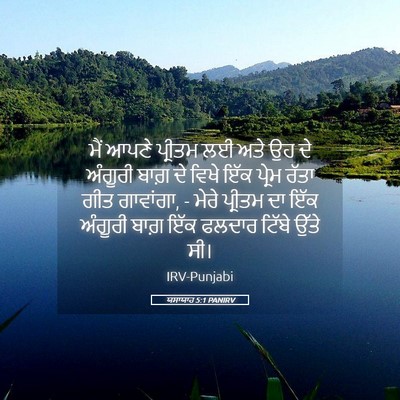 Picture 05 - ਯਸਾਯਾਹ 5:1 PANIRV - ਮੈਂ ਆਪਣੇ ਪ੍ਰੀਤਮ ਲਈ - Bible Verse Picture