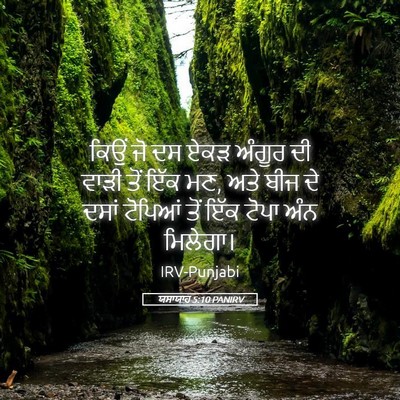Picture 05 - ਯਸਾਯਾਹ 5:10 PANIRV - ਕਿਉਂ ਜੋ ਦਸ ਏਕੜ - Bible Verse Picture