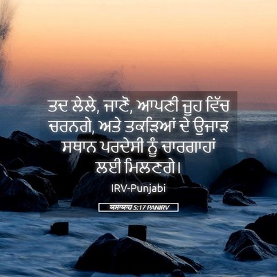 Picture 05 - ਯਸਾਯਾਹ 5:17 PANIRV - ਤਦ ਲੇਲੇ, ਜਾਣੋ, ਆਪਣੀ - Bible Verse Picture