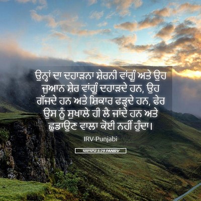 Picture 05 - ਯਸਾਯਾਹ 5:29 PANIRV - ਉਨ੍ਹਾਂ ਦਾ ਦਹਾੜਨਾ - Bible Verse Picture