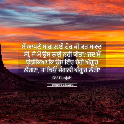 Picture 05 - ਯਸਾਯਾਹ 5:4 PANIRV - ਮੈਂ ਆਪਣੇ ਬਾਗ਼ ਲਈ - Bible Verse Picture
