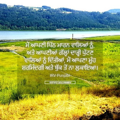 Picture 05 - ਯਸਾਯਾਹ 50:6 PANIRV - ਮੈਂ ਆਪਣੀ ਪਿੱਠ ਮਾਰਨ - Bible Verse Picture
