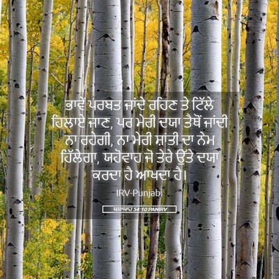 Picture 05 - ਯਸਾਯਾਹ 54:10 PANIRV - ਭਾਵੇਂ ਪਰਬਤ ਜਾਂਦੇ - Bible Verse Picture