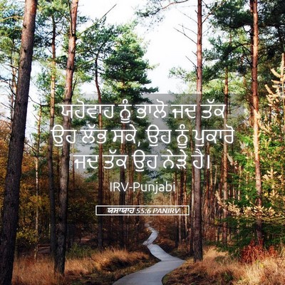 Picture 05 - ਯਸਾਯਾਹ 55:6 PANIRV - ਯਹੋਵਾਹ ਨੂੰ ਭਾਲੋ ਜਦ - Bible Verse Picture