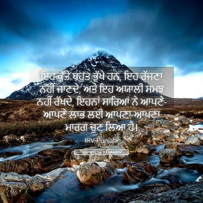 Picture 05 - ਯਸਾਯਾਹ 56:11 PANIRV - ਇਹ ਕੁੱਤੇ ਬਹੁਤ - Bible Verse Picture