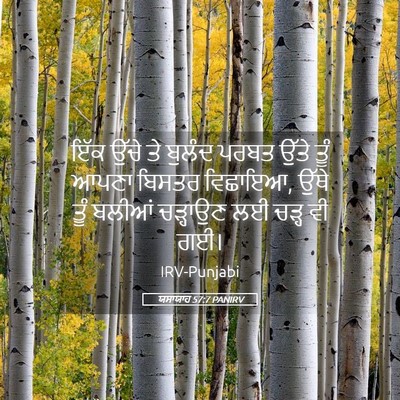 Picture 05 - ਯਸਾਯਾਹ 57:7 PANIRV - ਇੱਕ ਉੱਚੇ ਤੇ ਬੁਲੰਦ - Bible Verse Picture