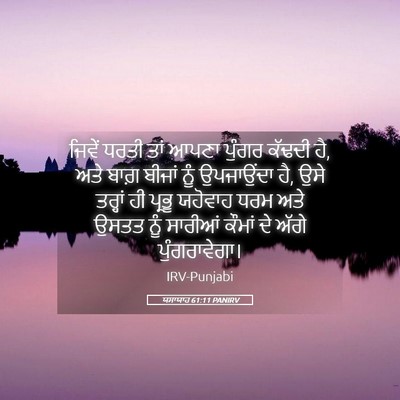 Picture 05 - ਯਸਾਯਾਹ 61:11 PANIRV - ਜਿਵੇਂ ਧਰਤੀ ਤਾਂ - Bible Verse Picture