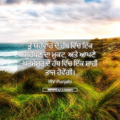 Picture 05 - ਯਸਾਯਾਹ 62:3 PANIRV - ਤੂੰ ਯਹੋਵਾਹ ਦੇ ਹੱਥ - Bible Verse Picture