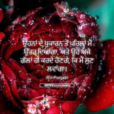 Picture 05 - ਯਸਾਯਾਹ 65:24 PANIRV - ਉਹਨਾਂ ਦੇ ਪੁਕਾਰਨ - Bible Verse Picture