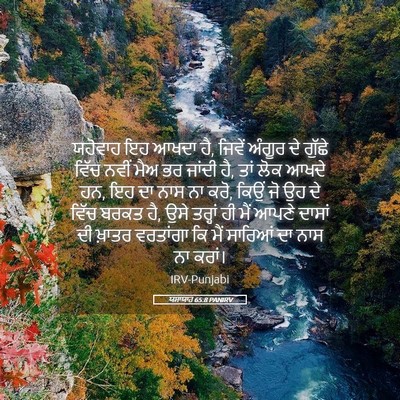 Picture 05 - ਯਸਾਯਾਹ 65:8 PANIRV - ਯਹੋਵਾਹ ਇਹ ਆਖਦਾ ਹੈ, - Bible Verse Picture