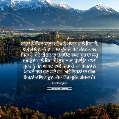 Picture 05 - ਯਸਾਯਾਹ 66:3 PANIRV - ਬਲ਼ਦ ਨੂੰ ਵੱਢਣ ਵਾਲਾ - Bible Verse Picture