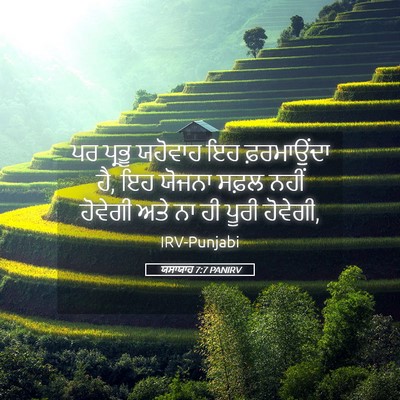 Picture 05 - ਯਸਾਯਾਹ 7:7 PANIRV - ਪਰ ਪ੍ਰਭੂ ਯਹੋਵਾਹ ਇਹ - Bible Verse Picture