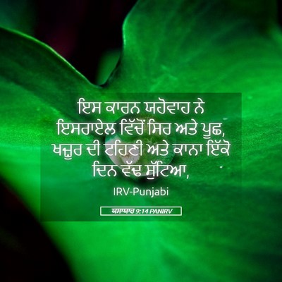 Picture 05 - ਯਸਾਯਾਹ 9:14 PANIRV - ਇਸ ਕਾਰਨ ਯਹੋਵਾਹ ਨੇ - Bible Verse Picture