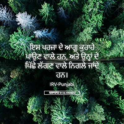 Picture 05 - ਯਸਾਯਾਹ 9:16 PANIRV - ਇਸ ਪਰਜਾ ਦੇ ਆਗੂ - Bible Verse Picture