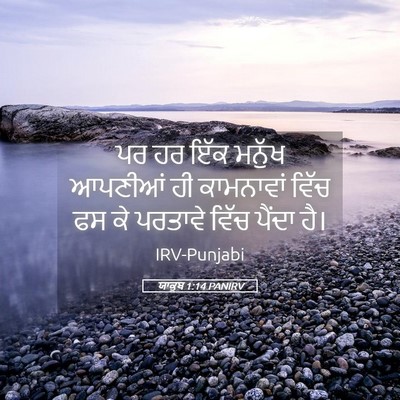 Picture 05 - ਯਾਕੂਬ 1:14 PANIRV - ਪਰ ਹਰ ਇੱਕ ਮਨੁੱਖ - Bible Verse Picture