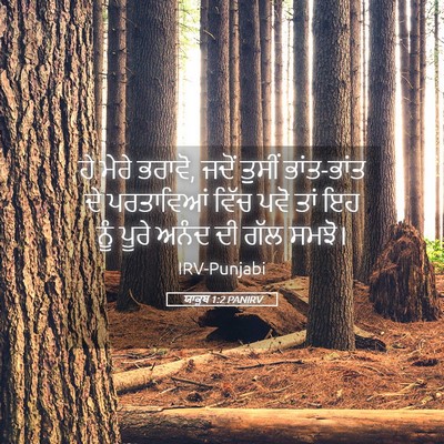 Picture 05 - ਯਾਕੂਬ 1:2 PANIRV - ਹੇ ਮੇਰੇ ਭਰਾਵੋ, ਜਦੋਂ - Bible Verse Picture