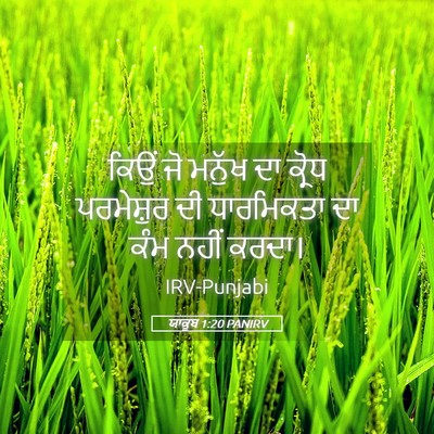 Picture 05 - ਯਾਕੂਬ 1:20 PANIRV - ਕਿਉਂ ਜੋ ਮਨੁੱਖ ਦਾ - Bible Verse Picture