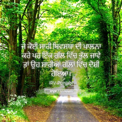 Picture 05 - ਯਾਕੂਬ 2:10 PANIRV - ਜੇ ਕੋਈ ਸਾਰੀ ਬਿਵਸਥਾ - Bible Verse Picture