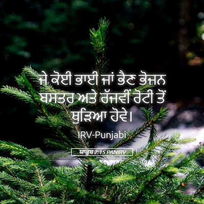 Picture 05 - ਯਾਕੂਬ 2:15 PANIRV - ਜੇ ਕੋਈ ਭਾਈ ਜਾਂ ਭੈਣ - Bible Verse Picture